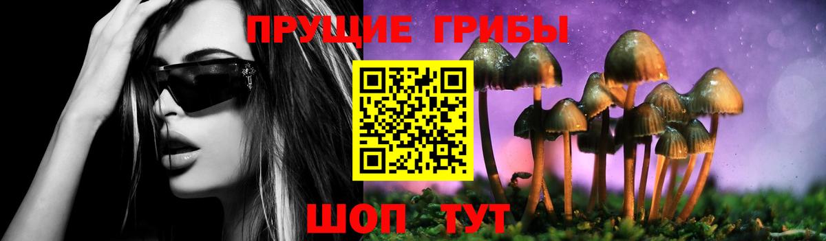 Грязи  Галлюциногенные грибы GOLDEN TEACHER  Вход с VPN  Галлюциногенные грибы прущие грибы 